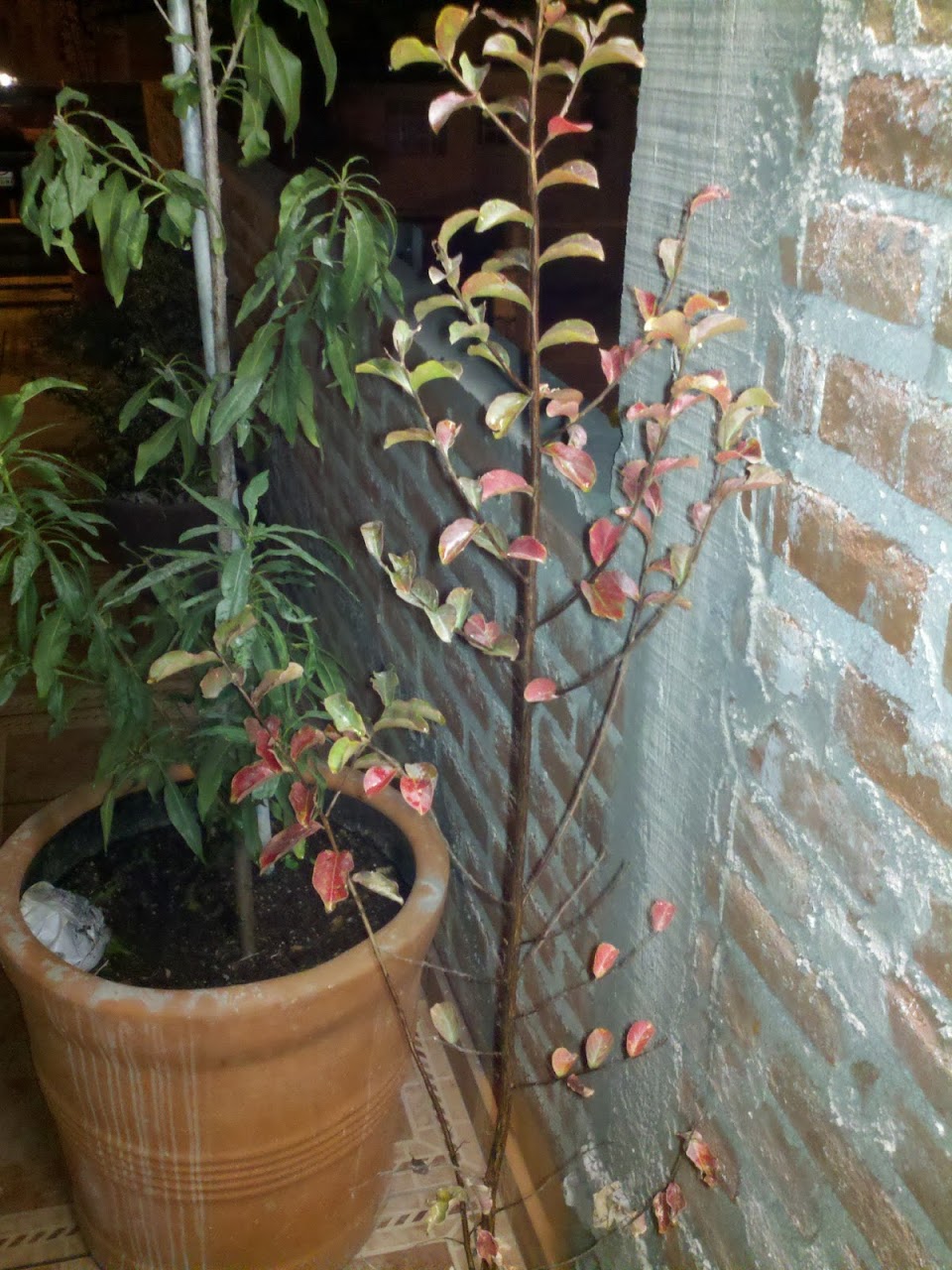 2011-11-19_21-42-31_345.jpg