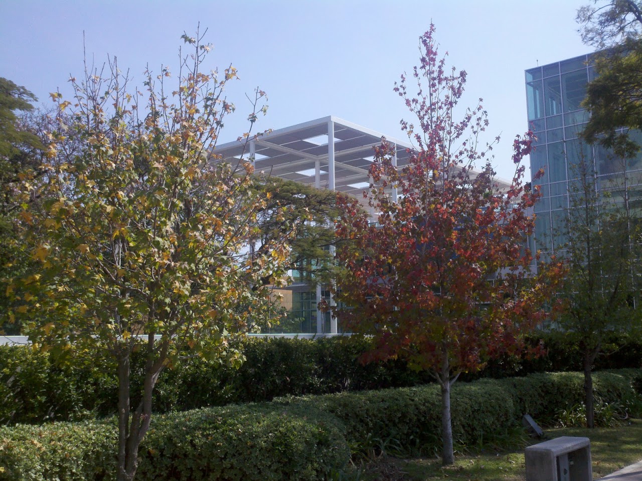 2011-11-20_13-28-28_182.jpg