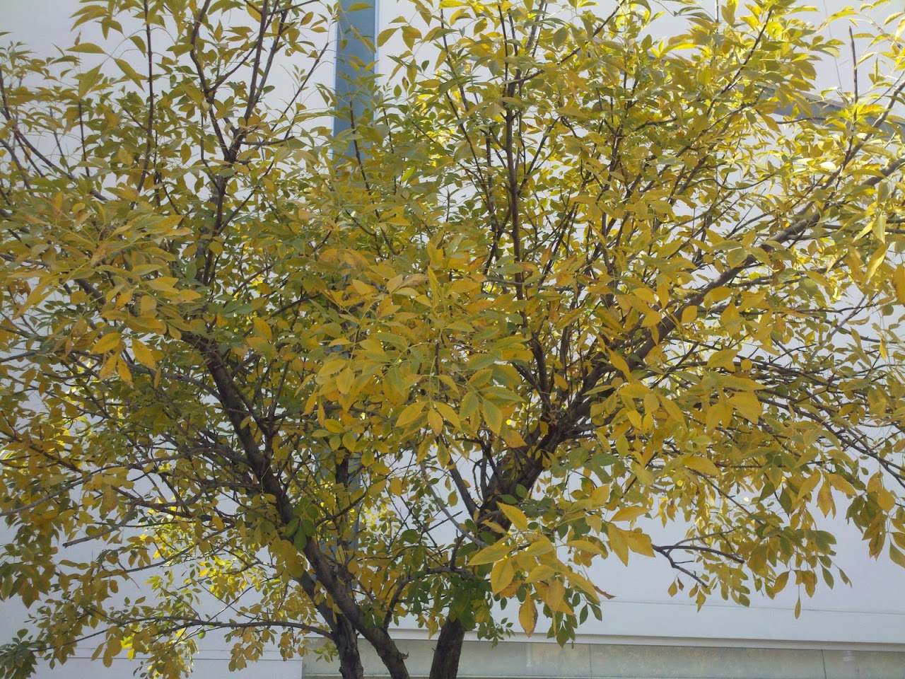 2011-11-20_13-33-46_380.jpg