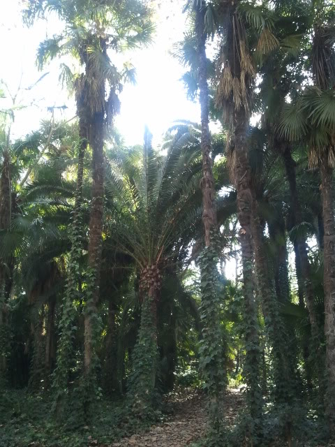2011-12-23134820.jpg