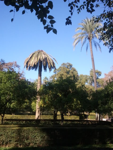 2011-12-23140615.jpg