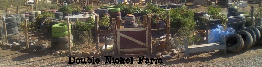 2011+garden+overview.JPG