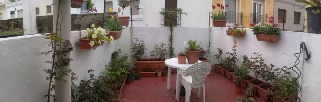 20110325130439.jpg