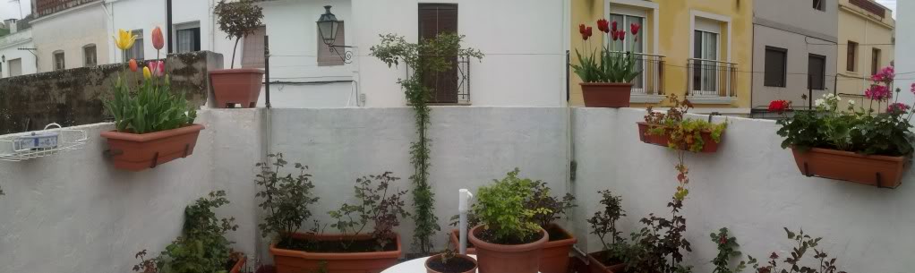 20110325130526.jpg