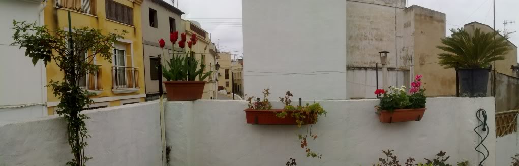 20110325130723.jpg