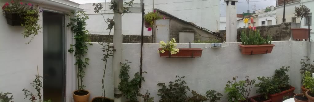 20110325130808.jpg