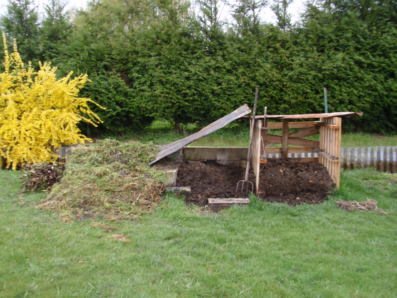 20110401%20764.jpg