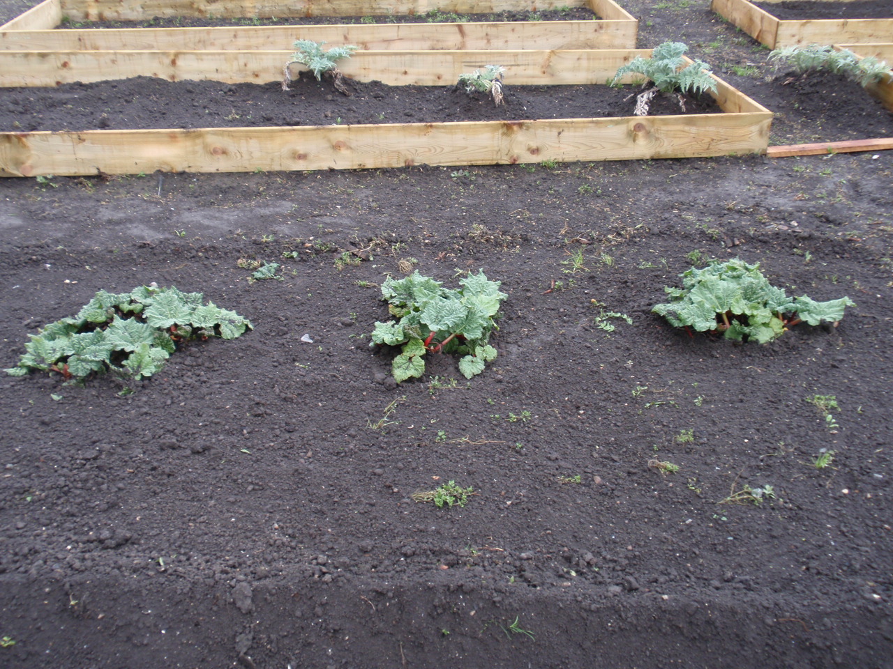 20110401%20766.jpg