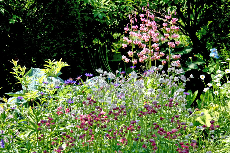 20110717_151.jpg