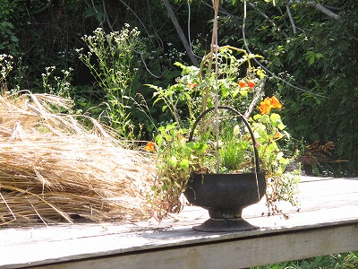 20110723172418.jpg