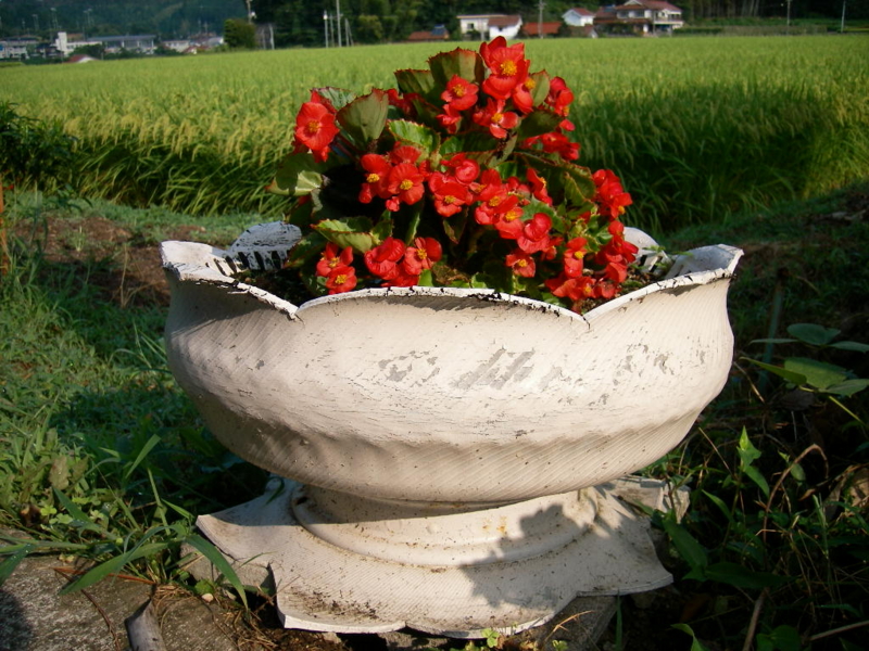 20110816104303.jpg