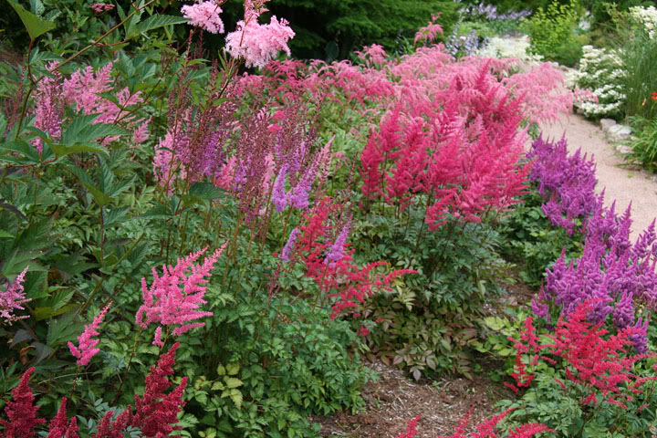 201108186590.jpg