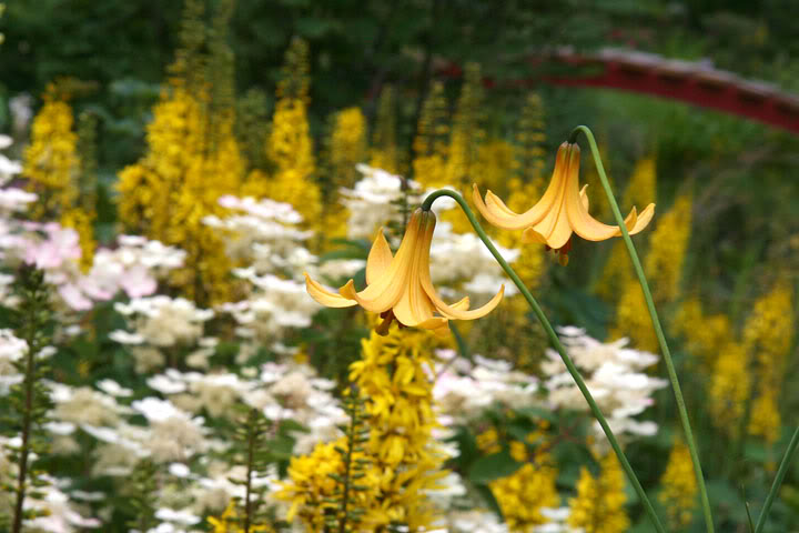 201108186591.jpg