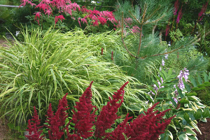 201108186596.jpg