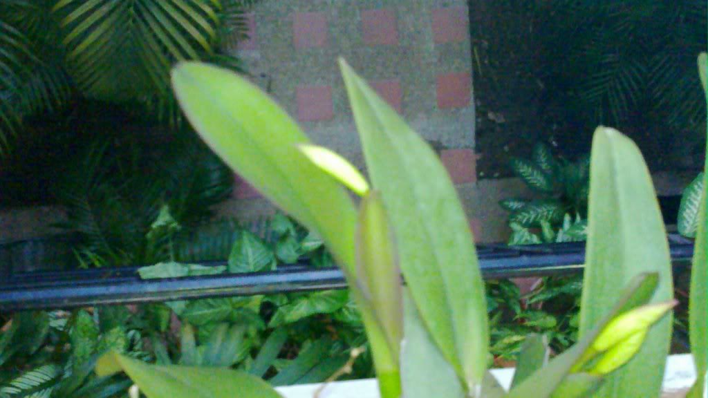20110914_001.jpg