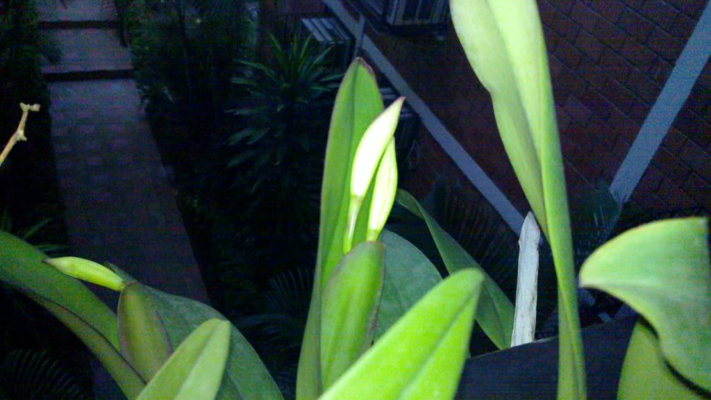 20110914_003.jpg