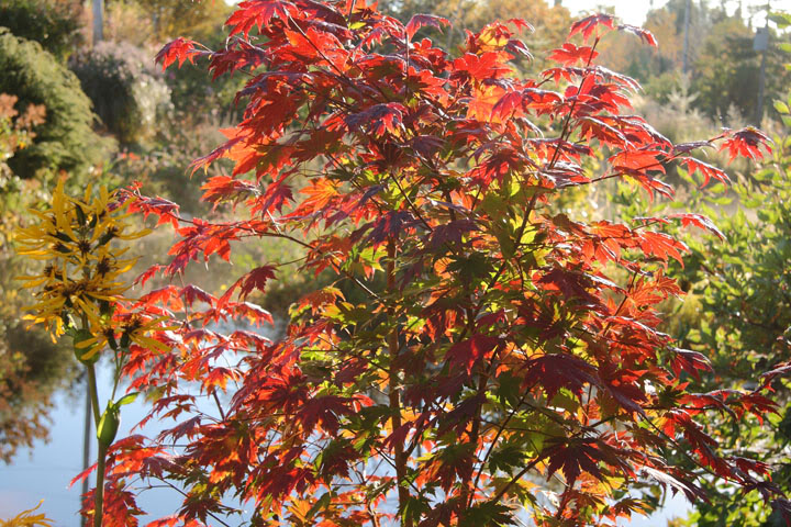 201109286984.jpg