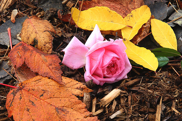 201110187091.jpg
