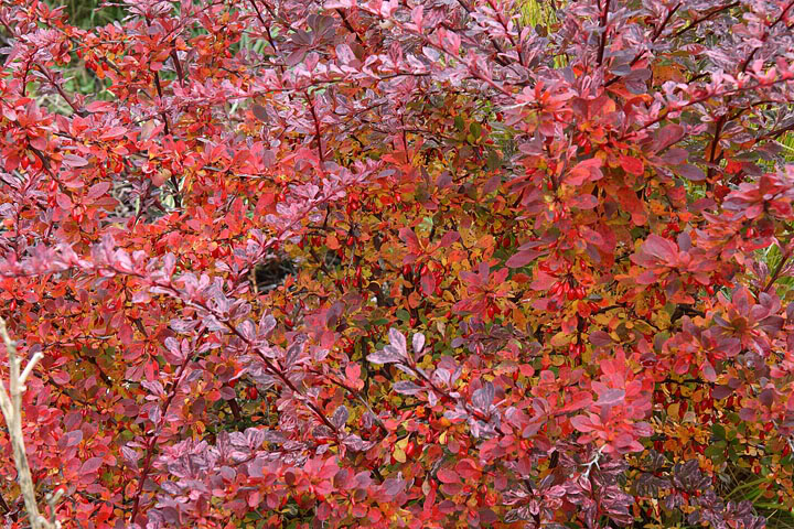 201110187101.jpg