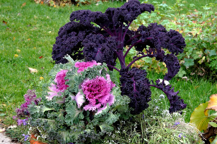 201110187118.jpg