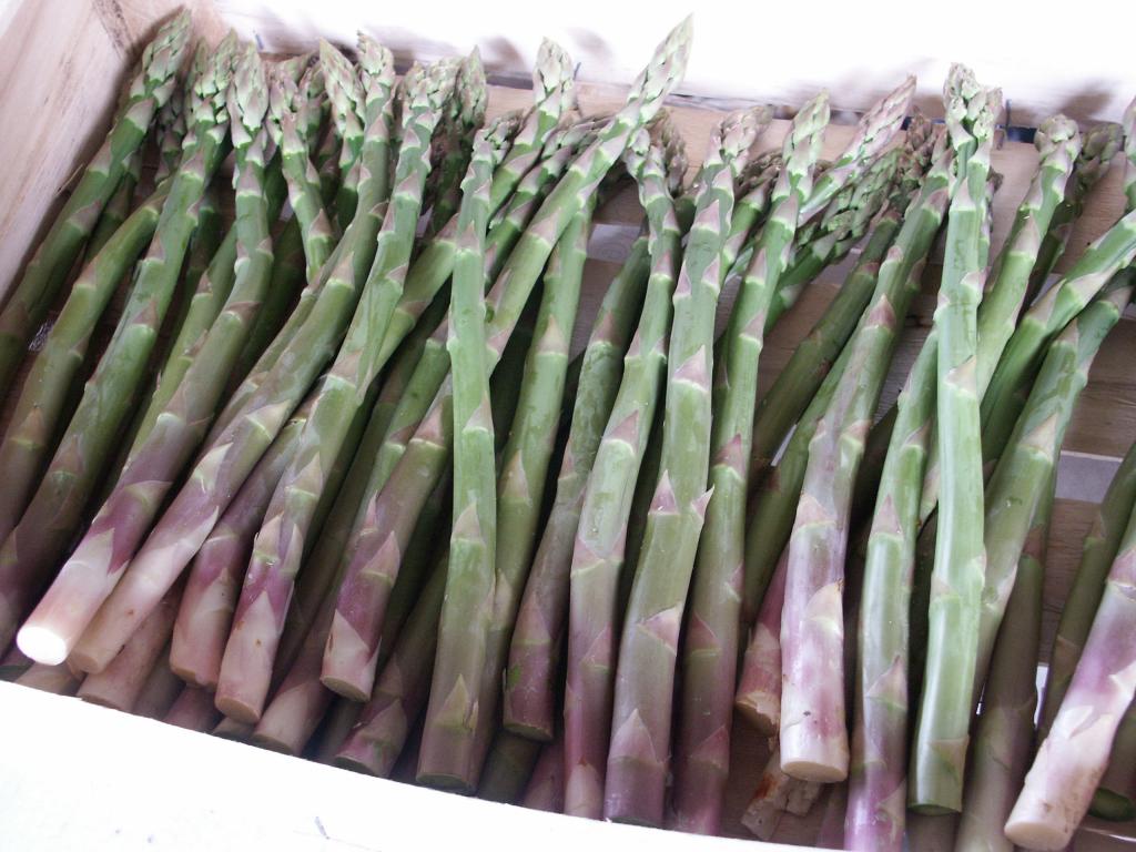 20111223190509-asperge-verte-web.jpg