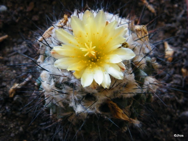 20111224%2520001.JPG