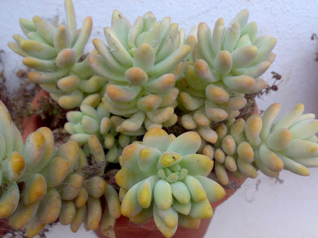 201120103151.jpg