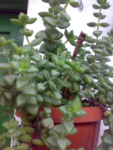 201120103183.jpg