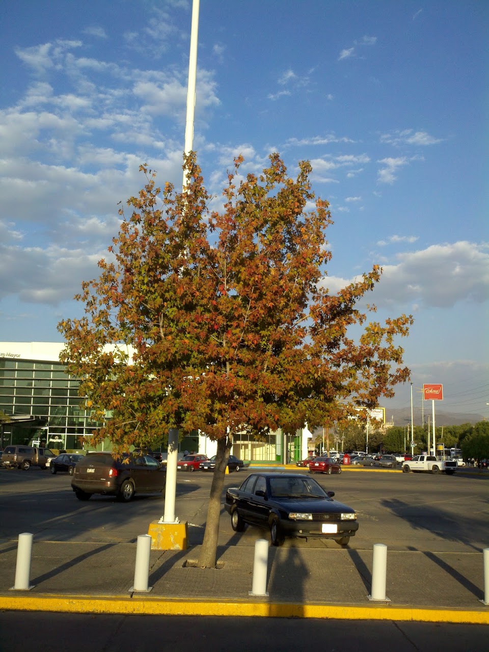 2012-01-17_17-50-49_387.jpg