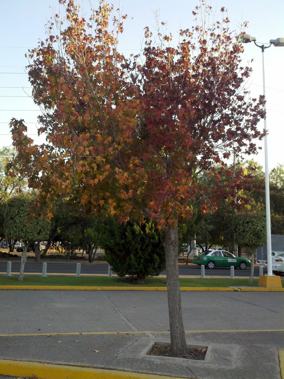 2012-01-17_17-52-42_24.jpg