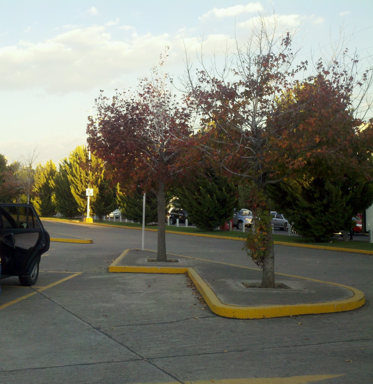 2012-01-17_17-57-39_575-1.jpg