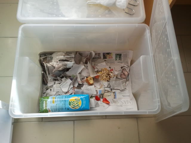 2012-01-19133302.jpg