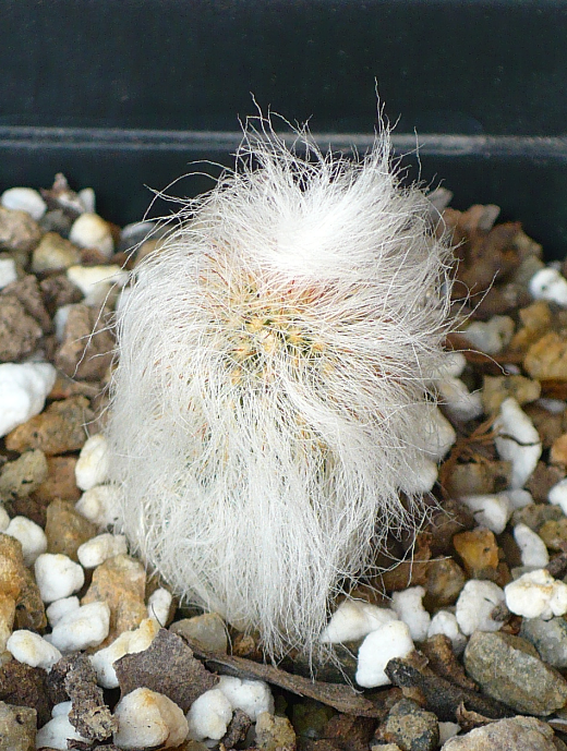 2012-02-02_1536.png