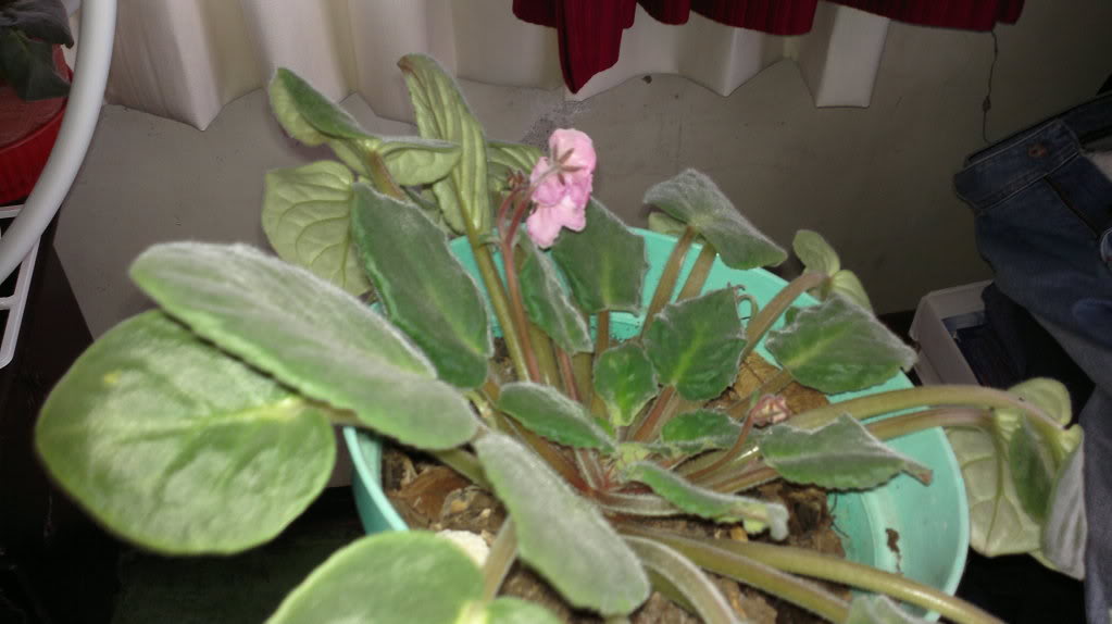 2012-03-04-334-1.jpg