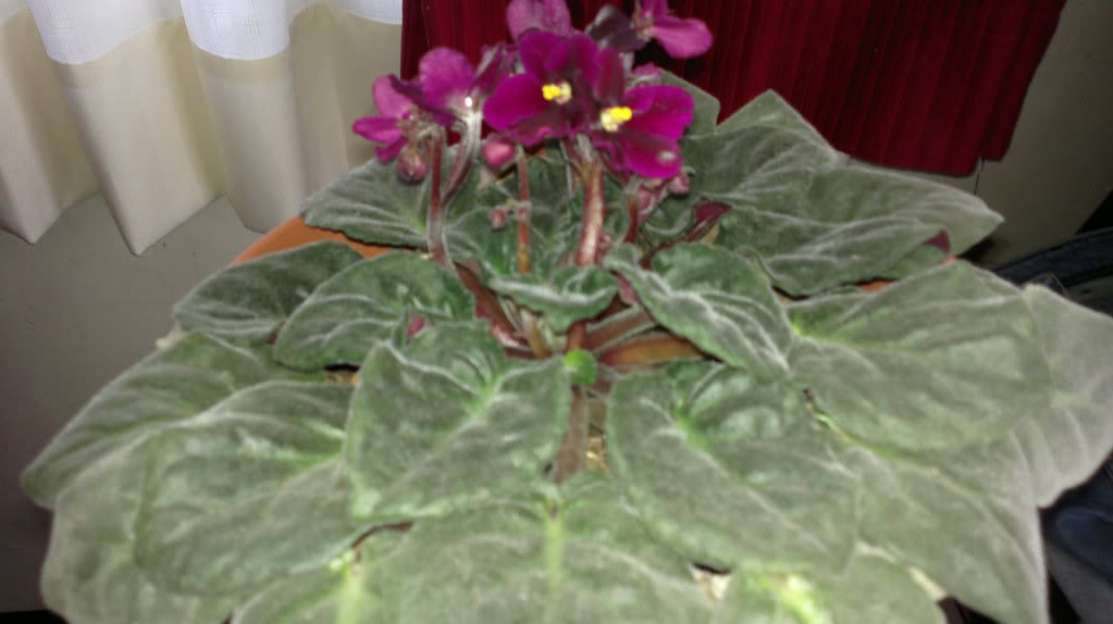 2012-03-04-335.jpg