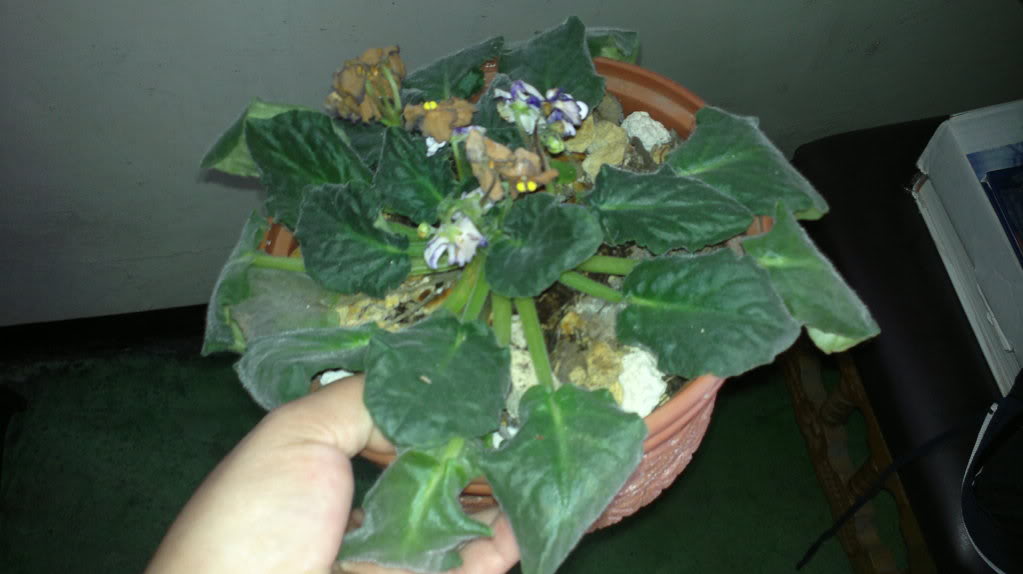 2012-03-04-336.jpg
