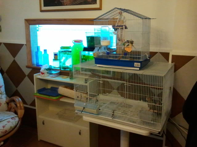 2012-03-24113146.jpg