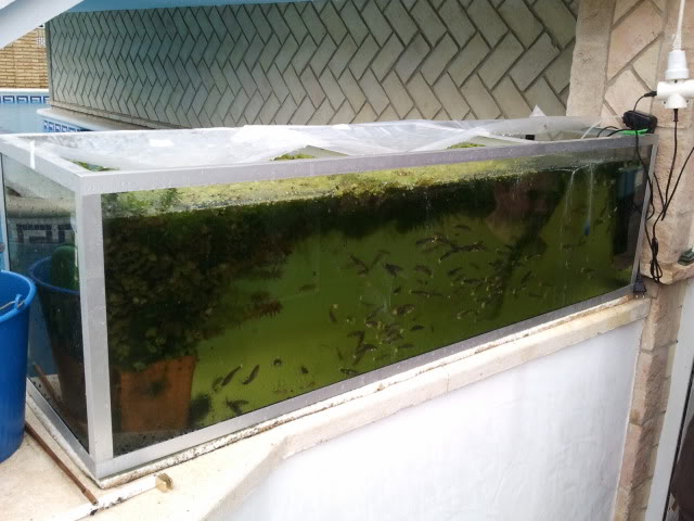 2012-03-24114501.jpg