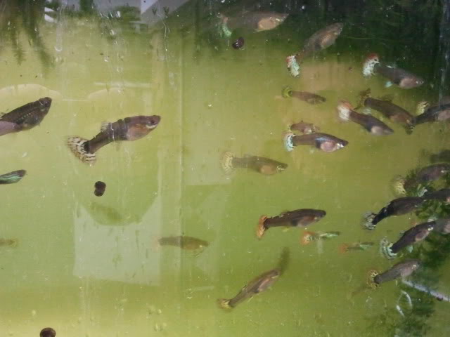 2012-03-24114512.jpg