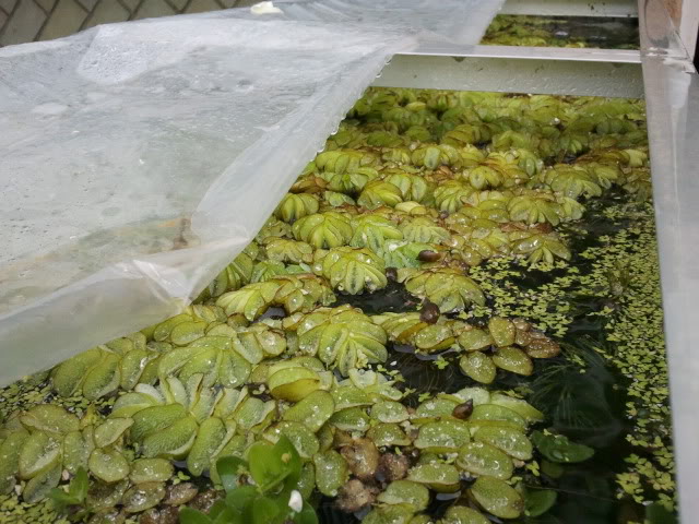 2012-03-24114839.jpg
