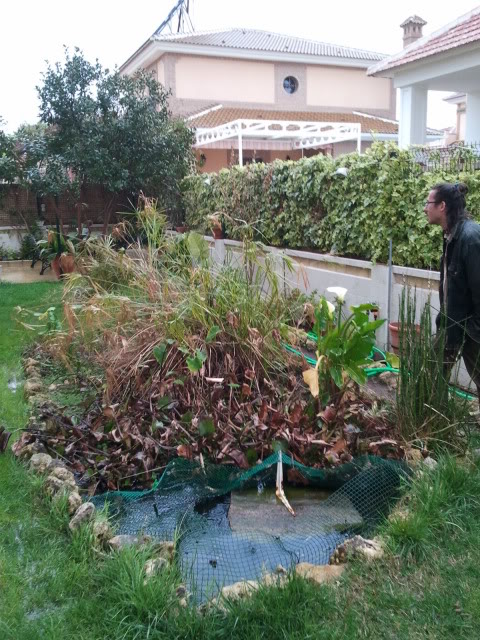 2012-03-24115024.jpg