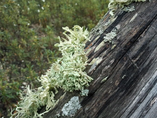 2012-03-24130243.jpg