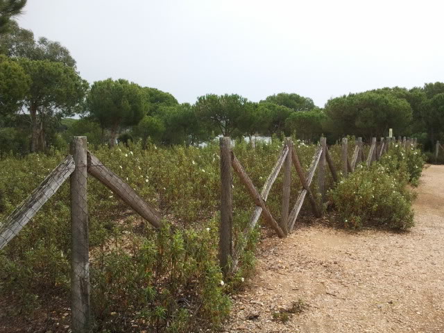 2012-03-24130312.jpg