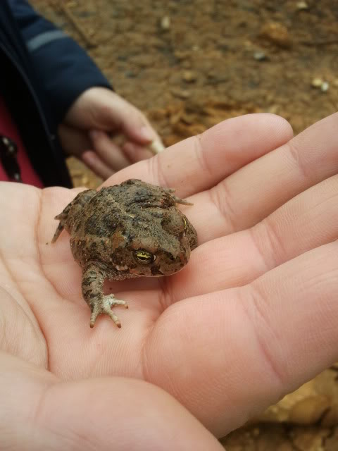 2012-03-24131140.jpg