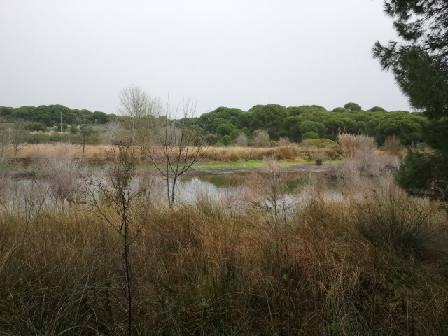 2012-03-24132441.jpg