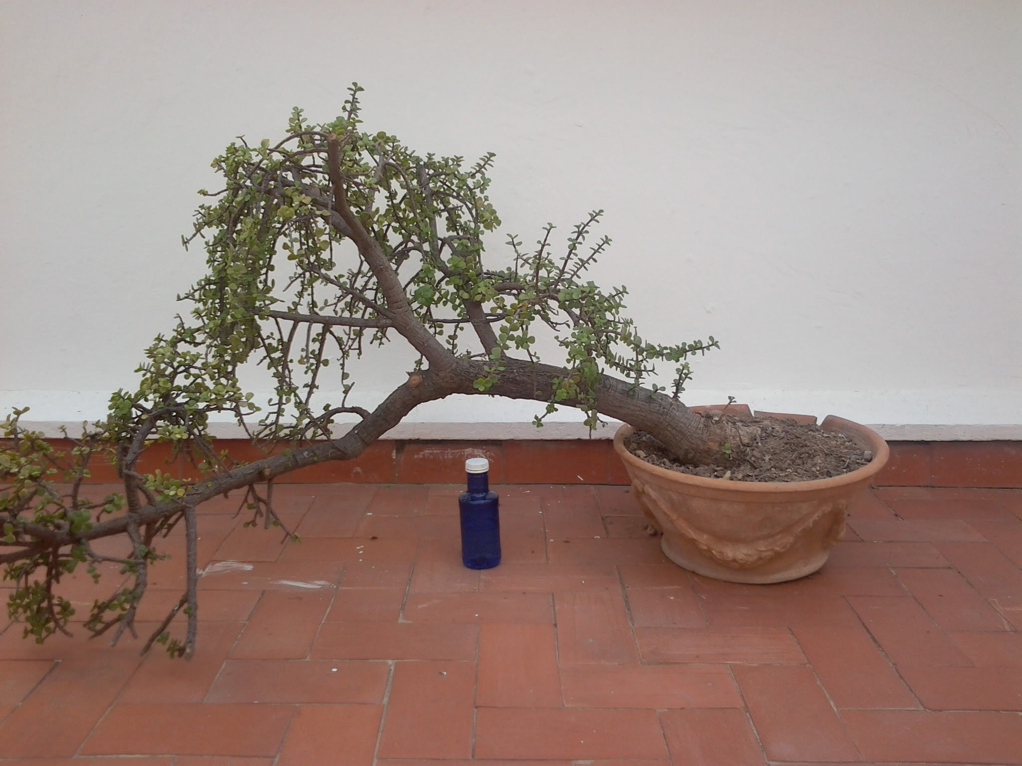 2012-04-01134312.jpg