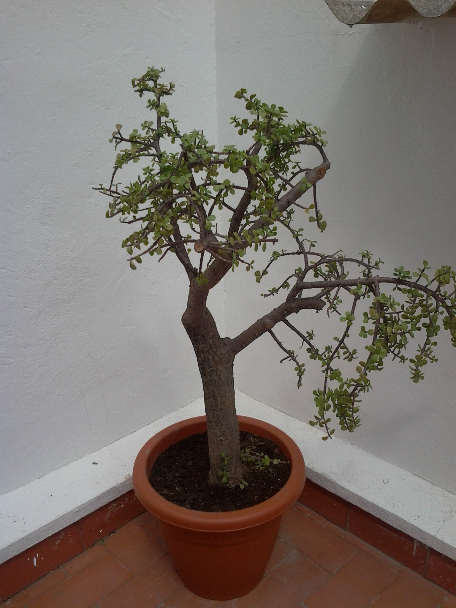 2012-04-04131849.jpg