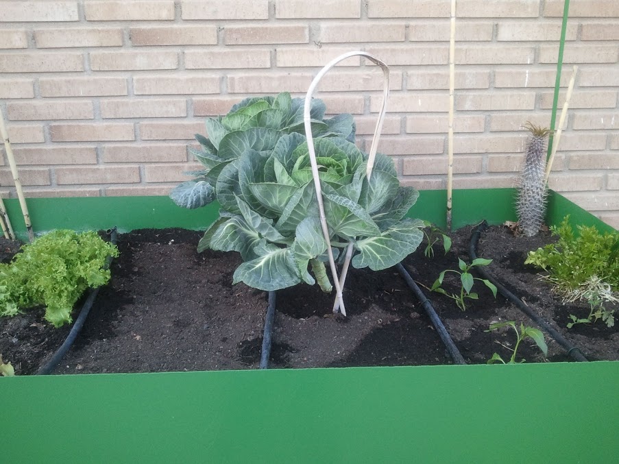 2012-04-08+19.56.32.jpg