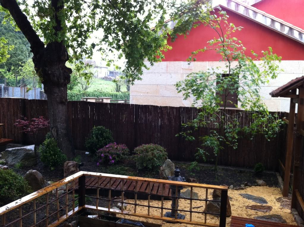 2012-04-11181059.jpg