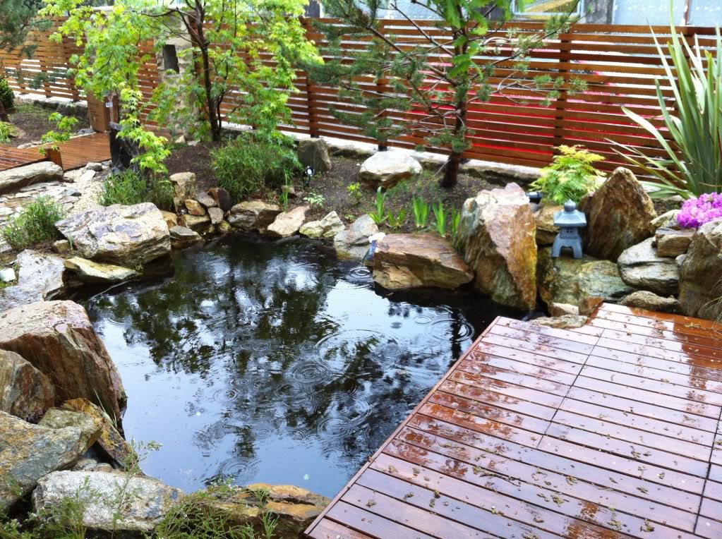 2012-04-11181258.jpg
